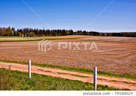 Prince Edward Island Red Soil Prince Edward Island Red Soil 70580024