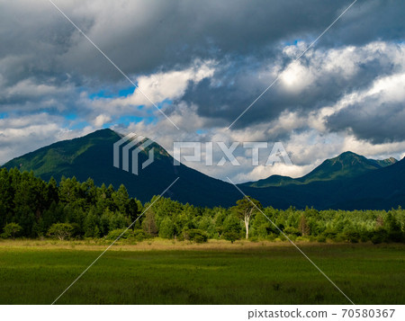 Lady of Odashiroagahara 70580367