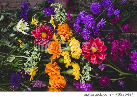 園林花卉花卉背景素材 園林花卉花卉背景素材 70580484