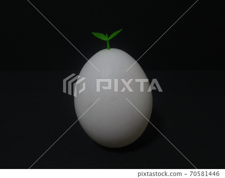 Break through the shell of the egg and sprout Break through the shell of the egg and sprout 70581446