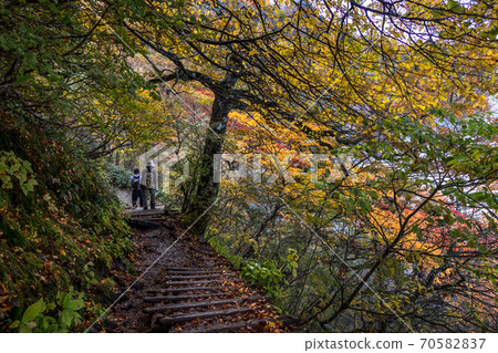 Mt. Ishizuchi autumn leaves Mt. Ishizuchi autumn leaves 70582837