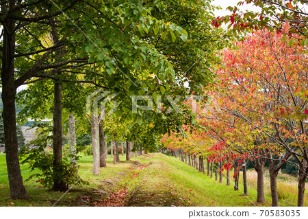 Fall landscape Fall landscape 70583035