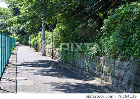 City view Hydrangea Road 70584139