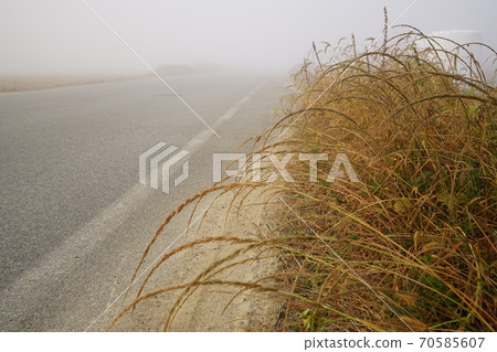 瑞湖里三-面靈巖郡全南 70585607