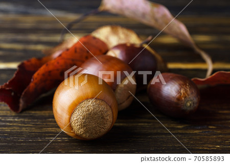 Acorn and fallen leaves 70585893