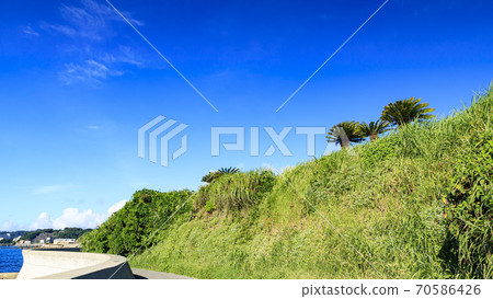 Summer in Kannonzaki, Hashirimizu, Yokosuka City, Kanagawa Prefecture, a tourist destination in Tokyo Bay Summer in Kannonzaki, Hashirimizu, Yokosuka City, Kanagawa Prefecture, a tourist destination in Tokyo Bay 70586426