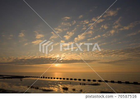 浦安市立一般公園 浦安市立一般公園 70587516