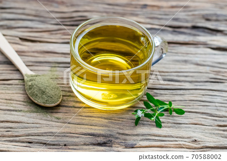 Stevia tea in a glass cup Stevia tea in a glass cup 70588002