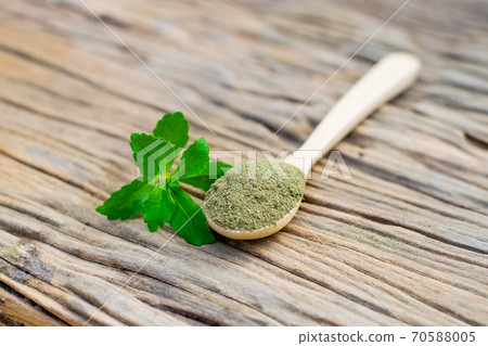 Stevia powder in wooden spoon Stevia powder in wooden spoon 70588005