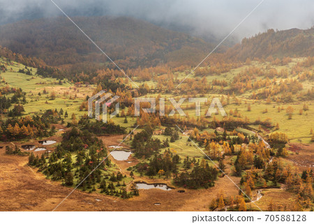 Yoshigadaira of autumn leaves from Shibutoge 70588128