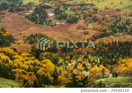 秋葉的g平從澀鄉 70588129