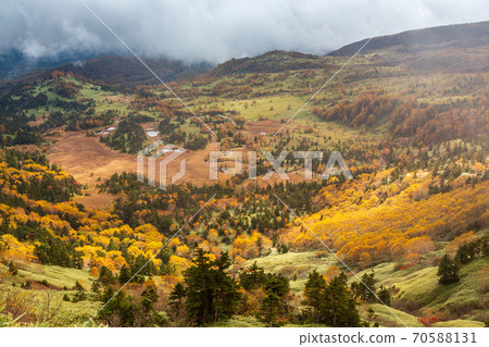 秋葉的g平從澀鄉 70588131