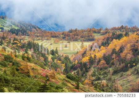 山田Pass的秋葉保平 70588233