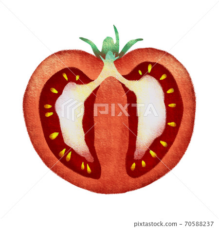 Cross-sectional view of tomatoes with shavings cut vertically 70588237