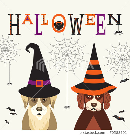 Cute dogs in witch hats fancy Halloween poster Cute dogs in witch hats fancy Halloween poster 70588391