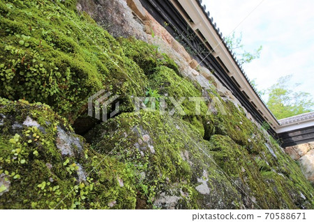 Kochi Castle Kochi Castle 70588671
