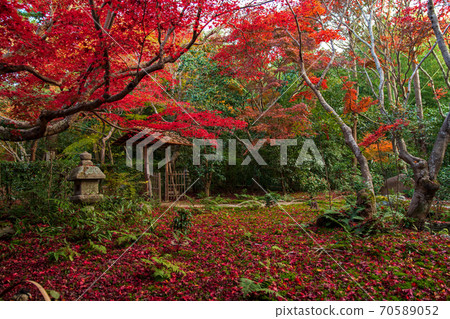 Enrian Temple Late Autumn Enrian Temple Late Autumn 70589052