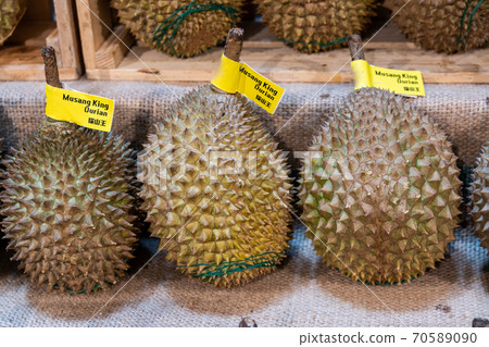 Popular Musang King Durian variety from Malaysia display in supermarket.  Chinese words is translation of Musang King in English. 70589090