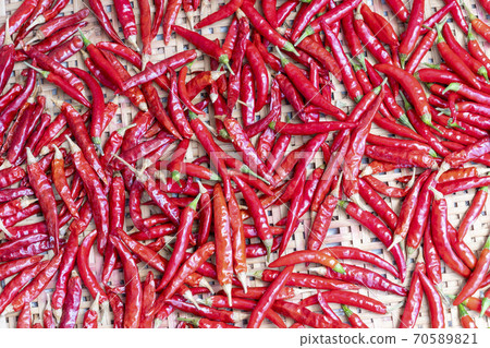 辣椒 70589821