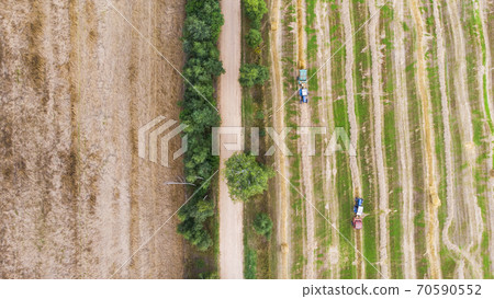 Aerial view of tractor with baler rolling bales of straw on harvested field. Top view. 70590552