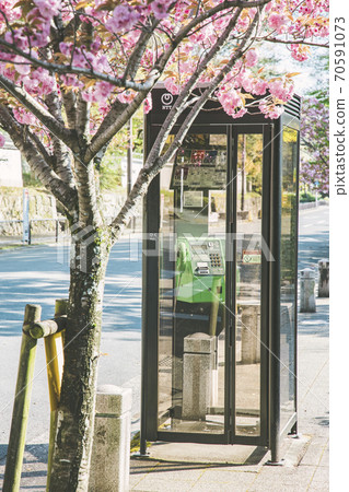 京都櫻花電話亭 京都櫻花電話亭 70591073