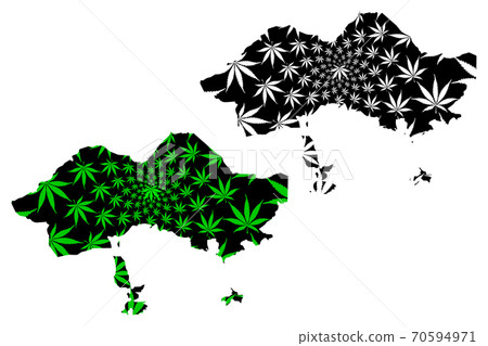 Fergana Region (Republic of Uzbekistan, Regions of Uzbekistan) map is designed cannabis leaf green and black, Fergana map made of marijuana (marihuana,THC) foliage.... 70594971