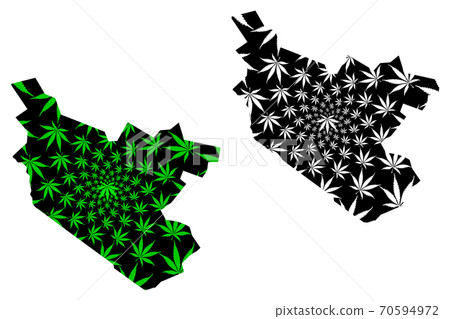 Bukhara Region (Republic of Uzbekistan, Regions of Uzbekistan) map is designed cannabis leaf green and black, Buxoro Region map made of marijuana (marihuana,THC) foliage.... 70594972
