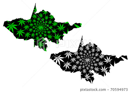 Andijan Region (Republic of Uzbekistan, Regions of Uzbekistan) map is designed cannabis leaf green and black, Andijon viloyati map made of marijuana (marihuana,THC) foliage.... 70594973