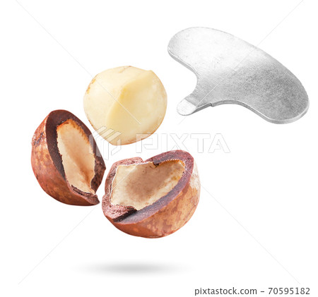 Macadamia nut chopped with a key flies on a white background. Isolated Macadamia nut chopped with a key flies on a white background. Isolated 70595182