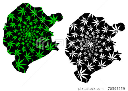 Tashkent city (Republic of Uzbekistan, Regions of Uzbekistan) map is designed cannabis leaf green and black, Tashkent Capital map made of marijuana (marihuana,THC) foliage.... 70595259