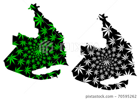 Sirdaryo Region (Republic of Uzbekistan, Regions of Uzbekistan) map is designed cannabis leaf green and black, Sirdaryo map made of marijuana (marihuana,THC) foliage.... Sirdaryo Region (Republic of Uzbekistan, Regions of Uzbekistan) map is designed cannabis leaf green and black, Sirdaryo map made of marijuana (marihuana,THC) foliage.... 70595262