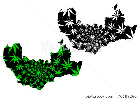 Namangan Region (Republic of Uzbekistan, Regions of Uzbekistan) map is designed cannabis leaf green and black, Namangan viloyati map made of marijuana (marihuana,THC) foliage.... 70595266