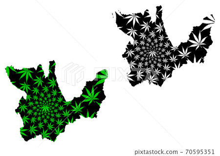 Department of Huanuco (Republic of Peru, Regions of Peru) map is designed cannabis leaf green and black, Huanuco map made of marijuana (marihuana,THC) foliage.... 70595351