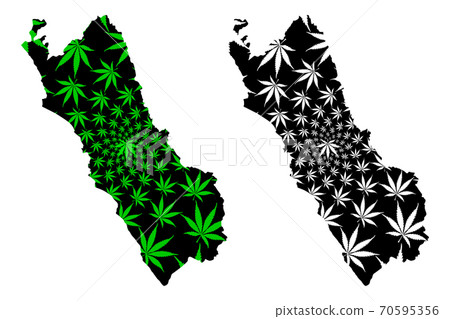 Department of Lima (Republic of Peru, Regions of Peru) map is designed cannabis leaf green and black, Lima map made of marijuana (marihuana,THC) foliage.... Department of Lima (Republic of Peru, Regions of Peru) map is designed cannabis leaf green and black, Lima map made of marijuana (marihuana,THC) foliage.... 70595356