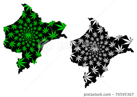 Department of Loreto (Republic of Peru, Regions of Peru) map is designed cannabis leaf green and black, Loreto map made of marijuana (marihuana,THC) foliage.... 70595367