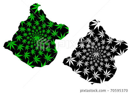 Department of Tacna (Republic of Peru, Regions of Peru) map is designed cannabis leaf green and black, Tacna map made of marijuana (marihuana,THC) foliage.... 70595370