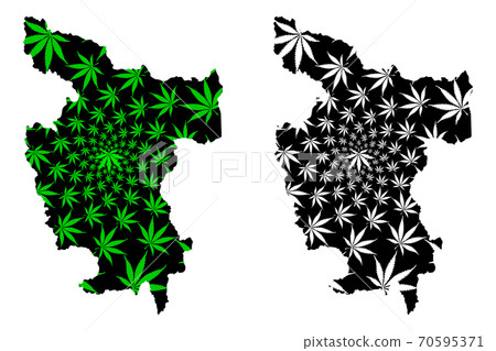 Department of San Martin (Republic of Peru, Regions of Peru) map is designed cannabis leaf green and black, San Martin map made of marijuana (marihuana,THC) foliage.... 70595371