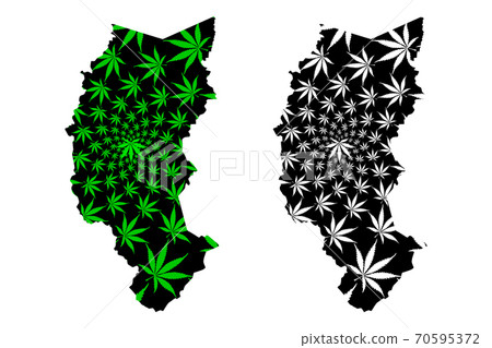 Department of Puno (Republic of Peru, Regions of Peru) map is designed cannabis leaf green and black, Puno map made of marijuana (marihuana,THC) foliage.... Department of Puno (Republic of Peru, Regions of Peru) map is designed cannabis leaf green and black, Puno map made of marijuana (marihuana,THC) foliage.... 70595372