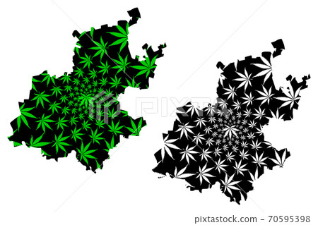 Gauteng Province (Republic of South Africa, Administrative divisions, RSA) map is designed cannabis leaf green and black, Gauteng map made of marijuana (marihuana,THC) foliage.... Gauteng Province (Republic of South Africa, Administrative divisions, RSA) map is designed cannabis leaf green and black, Gauteng map made of marijuana (marihuana,THC) foliage.... 70595398