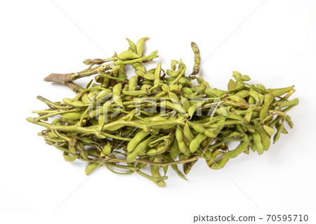 Black soybean edamame 70595710