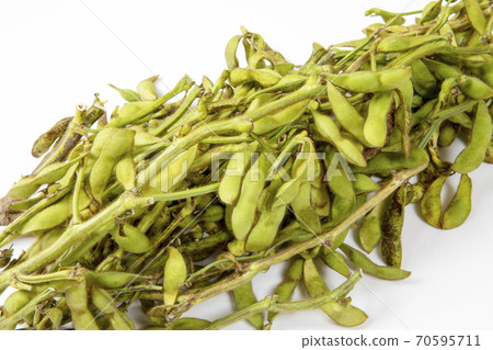Black soybean edamame 70595711