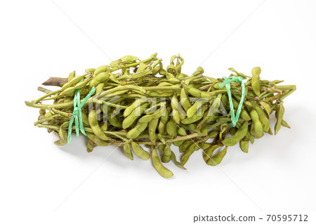 黑豆毛豆 70595712