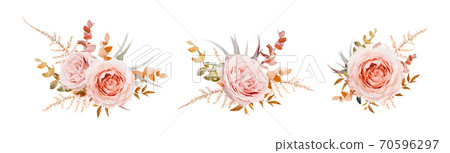 Vector floral bouquet design. Pink, blush peach Roses, fall, winter tones taupe, brown beige cream autumn Eucalyptus branch, leaves, fern. Wedding invite card decorative elegant watercolor element set Vector floral bouquet design. Pink, blush peach Roses, fall, winter tones taupe, brown beige cream autumn Eucalyptus branch, leaves, fern. Wedding invite card decorative elegant watercolor element set 70596297