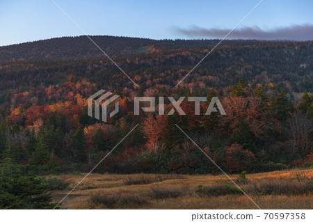 Hakkodayama in autumn Hakkodayama in autumn 70597358