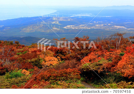 Mt. Chokai autumn leaves 70597458