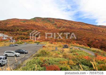 Mt. Chokai autumn leaves 70597516