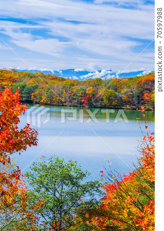 秋色的赤城大沼和富士山（垂直） 70597988