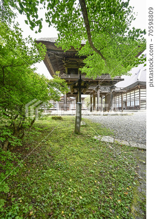 Ohatsuki Ginkgo and Sanmon at Reishoji Temple in Omachi City Ohatsuki Ginkgo and Sanmon at Reishoji Temple in Omachi City 70598809