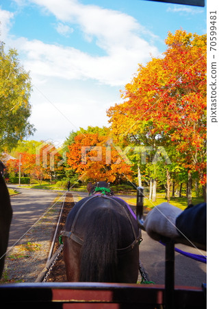 Scenery of the village of Hokkaido reclamation Scenery of the village of Hokkaido reclamation 70599481