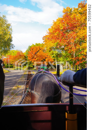 北海道的鄉村風景 70599482